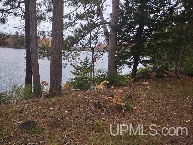 5800 Wolf Lake Road Watersmeet, MI 49969 - Photo 23 of 86