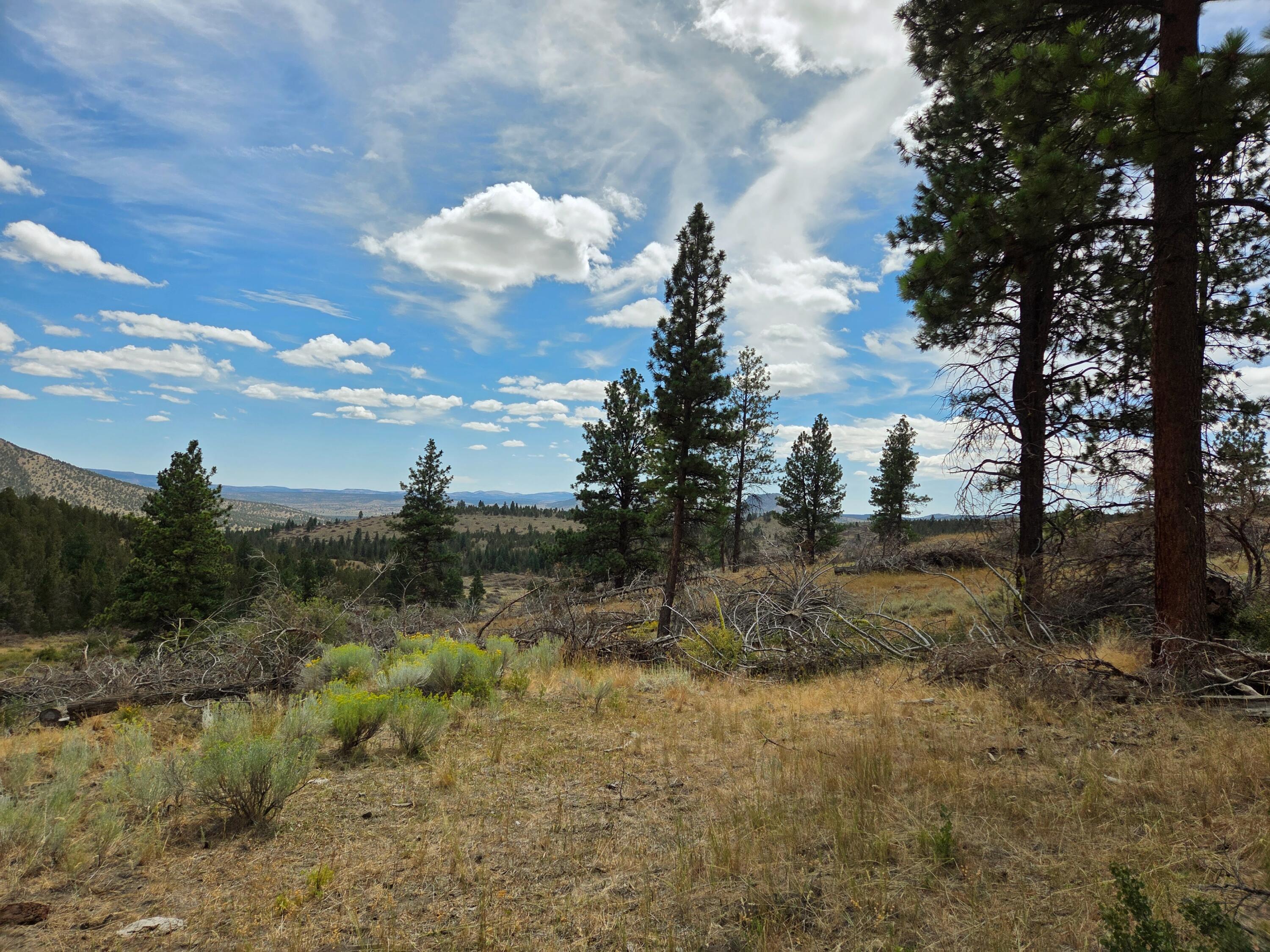 32500 Tackman Road Prineville, OR 97754 - Photo 83 of 112
