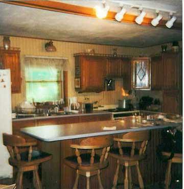 2160 East River Road Hart, MI 49420 - Photo 4 of 4 Additional Photo