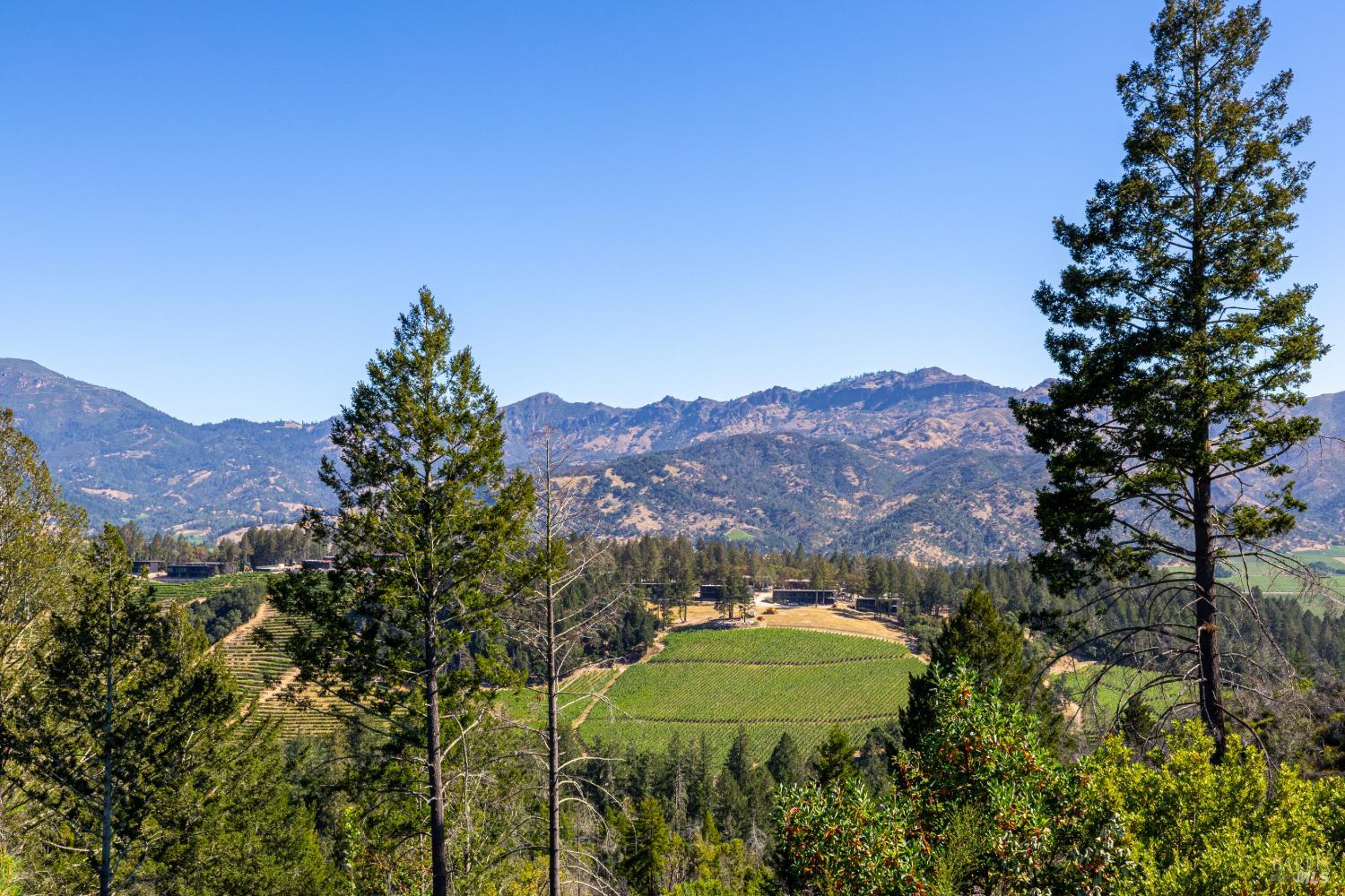 0 Diamond Mountain Road Calistoga, CA 94515 - Photo 17 of 19