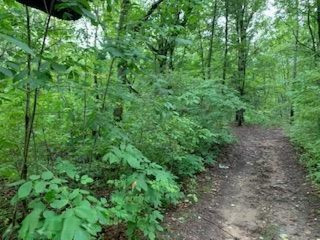 12739 Belding Road Belding, MI 48809 - Photo 20 of 24 IMG_5862