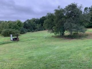 12739 Belding Road Belding, MI 48809 - Photo 23 of 24 IMG_5858