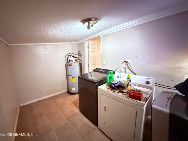 a living room with a couch and a potted plant