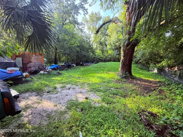 a view of a grassy field with trees
