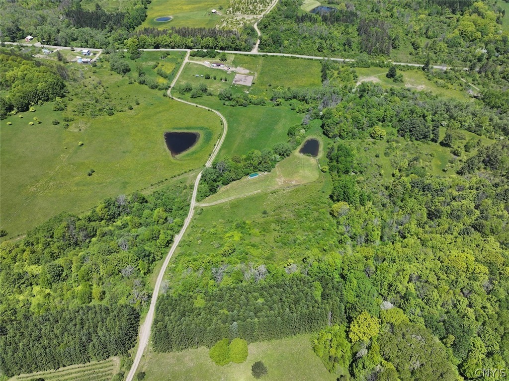 North Branch Road Friendship, NY 14739 - Photo 5 of 27