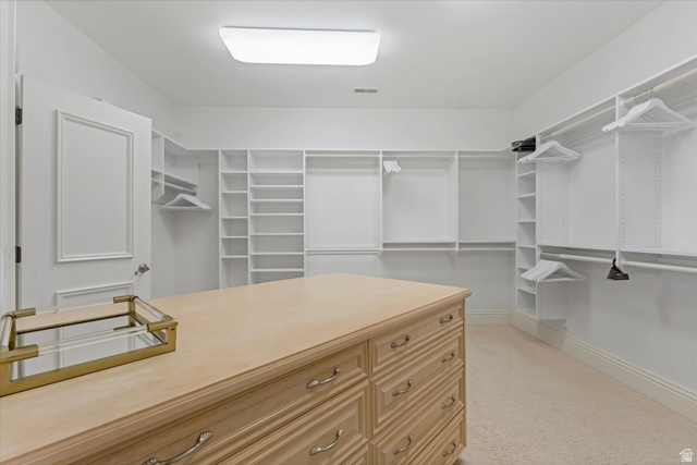 3222 Eagle View Circle Sandy, UT 84092 - Photo 24 of 60 Walk in closet featuring light carpet