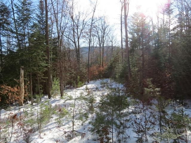 0 Upland Meadows Road Keene, NY 12942 - Photo 1 of 9 Gallery Image 1