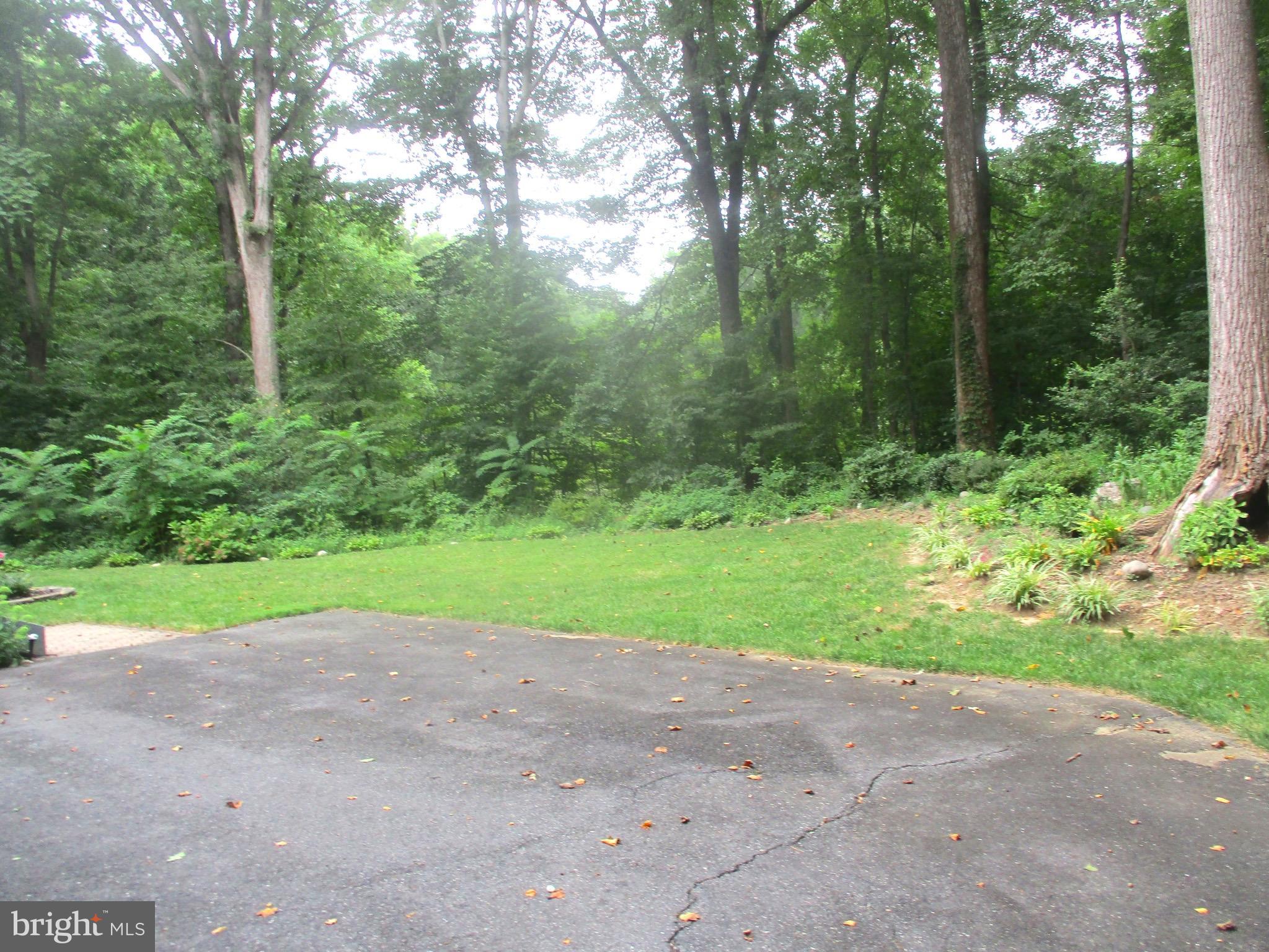 1581 Comanche Road Arnold, MD 21012 - Photo 6 of 18 Wooded acreage