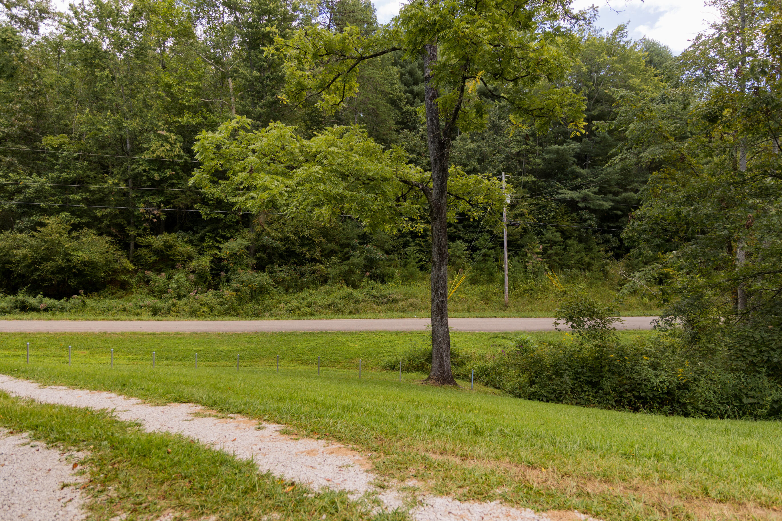 1295 Old State Road Wellington, KY 40387 - Photo 6 of 16 FO7A7483