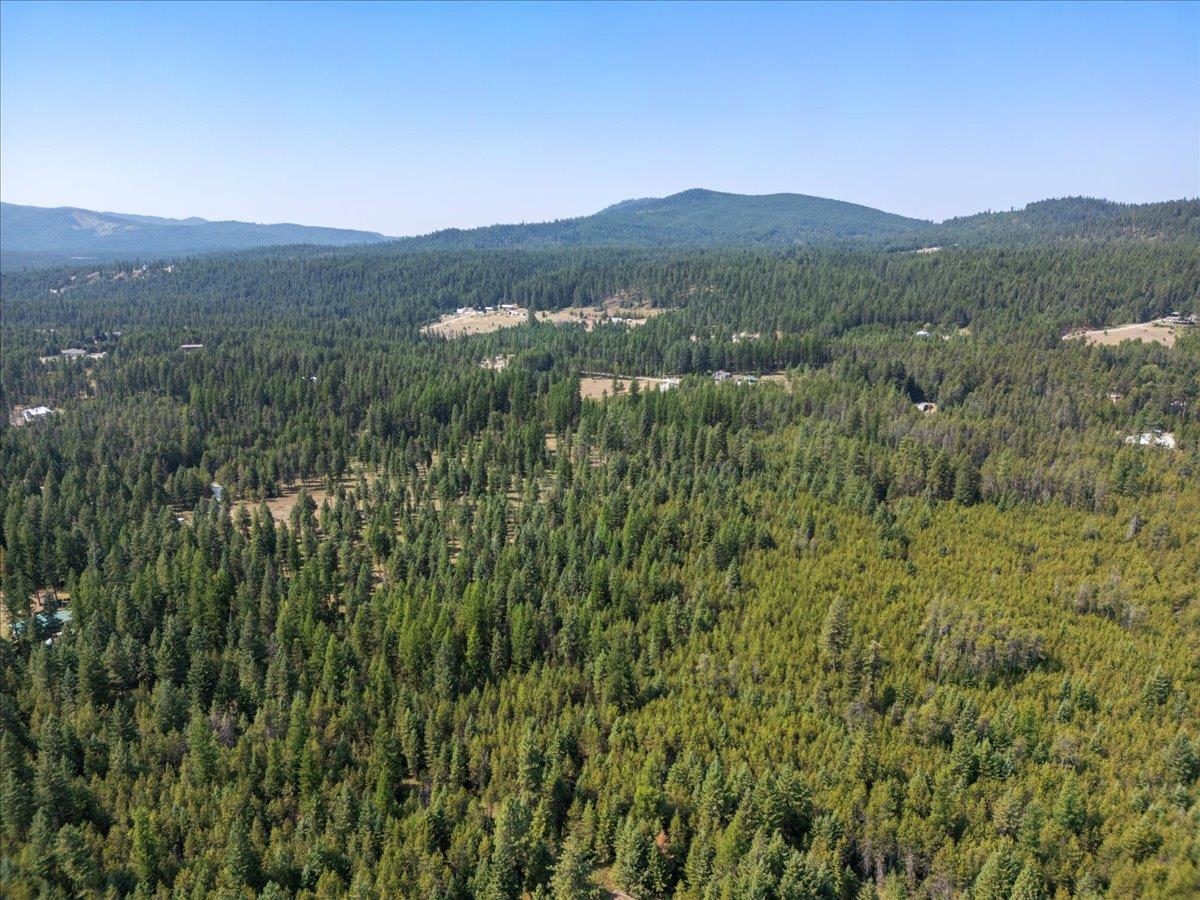 311 Bigfoot Road Newport, WA 99156 - Photo 10 of 22