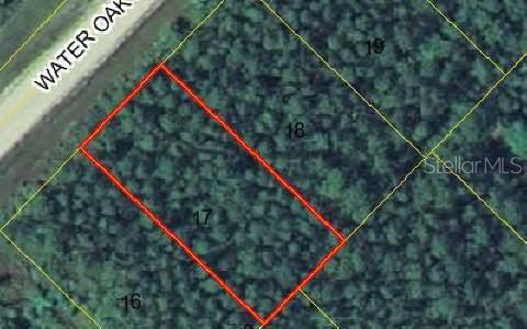 1407 Water Oak Road Bunnell, FL 32110 - Photo 1 of 1 Gallery Image 1