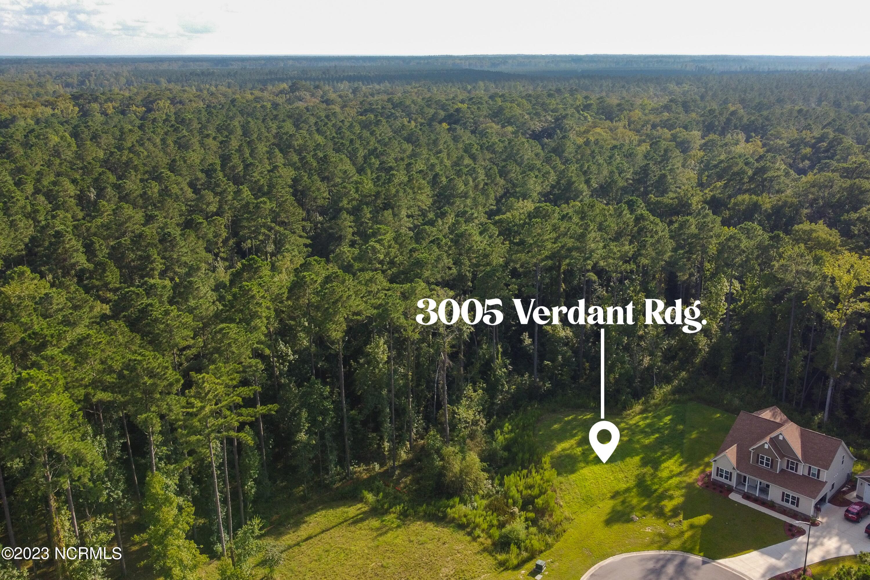 3005 Verdant Ridge New Bern, NC 28562 - Photo 2 of 5 Aerial View