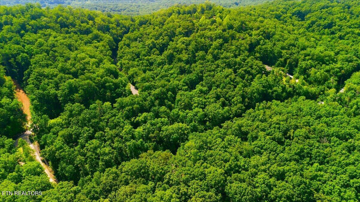 111 Eagle Ridge Road Kingston, TN 37763 - Photo 44 of 52 44-DJI_20260730112404_0103_D