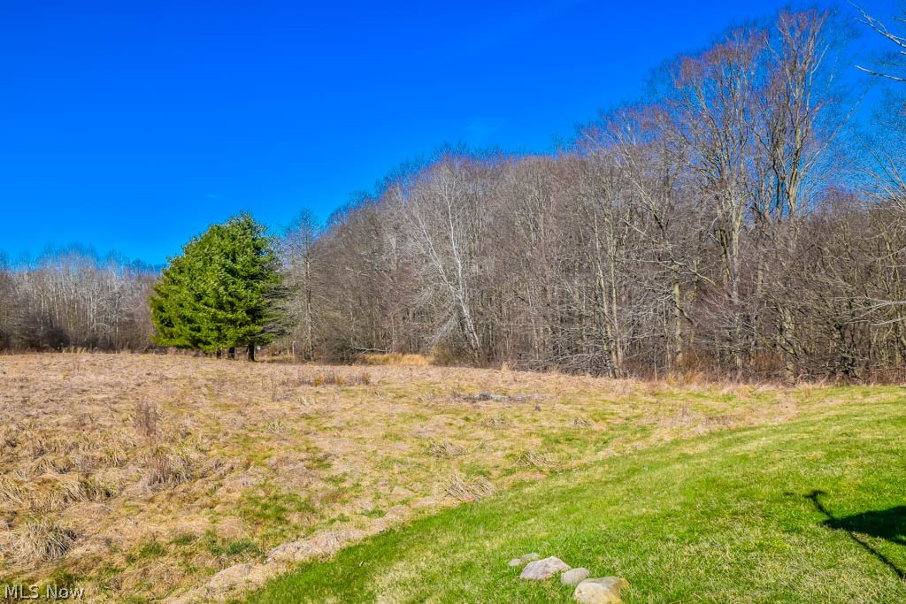 Amazing views on 5 acres with a stocked pond.