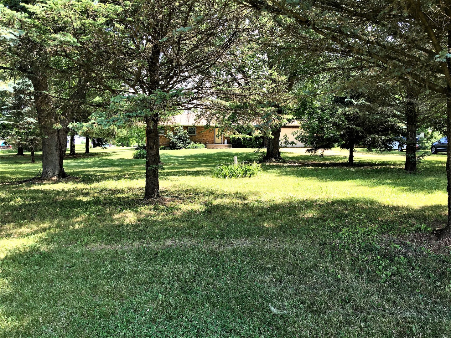 6939 North Junction Road Davis Junction, IL 61020 - Photo 2 of 31 a view of a park with large trees