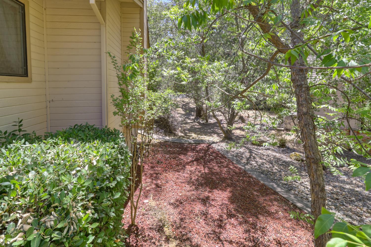 6798 Terreno Drive Rancho Murieta, CA 95683 - Photo 57 of 63 a backyard of a house with lots of green space