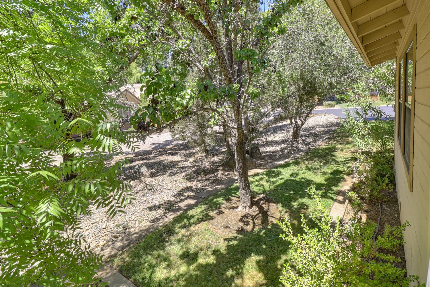 6798 Terreno Drive Rancho Murieta, CA 95683 - Photo 61 of 63 a view of a tree