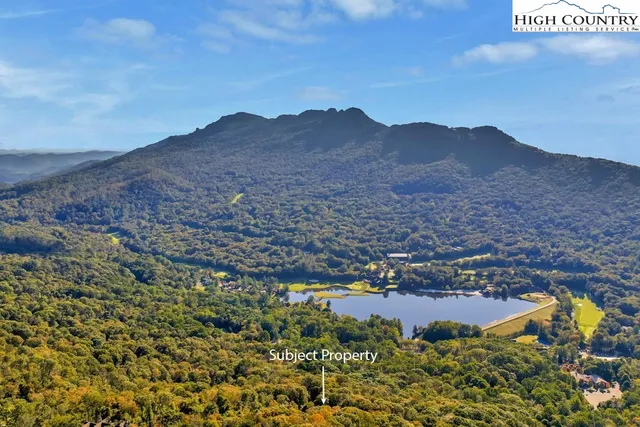 a view of a lush green field with mountains in the background