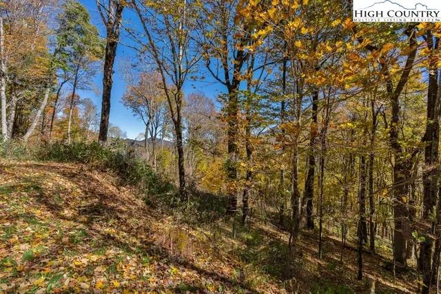 an aerial view of residential house with outdoor space