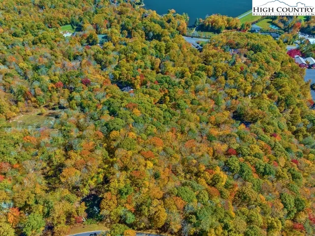 a view of a field with an ocean