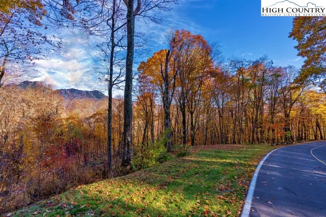 a view of backyard with green space