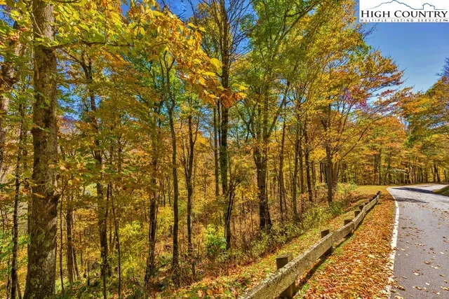a view of a swimming pool with a yard
