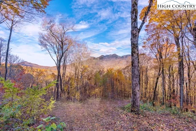 a front view of garden having patio