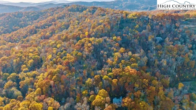 a view of yard with swimming pool