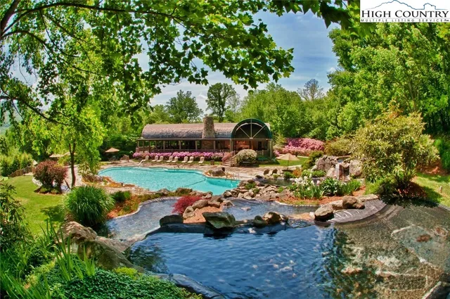 a view of a backyard with large trees