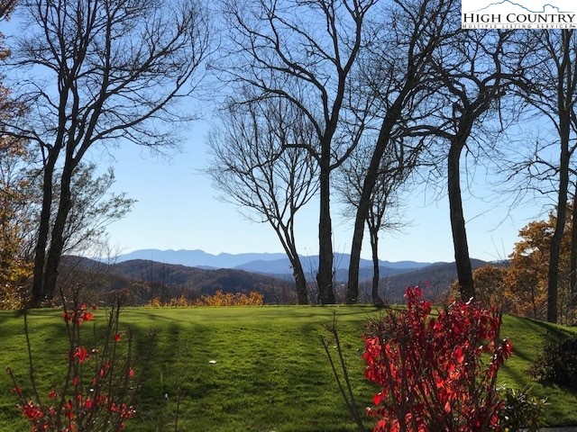 117 Ridge Drive Linville, NC 28646 - Photo 29 of 32 a view of a backyard with large trees