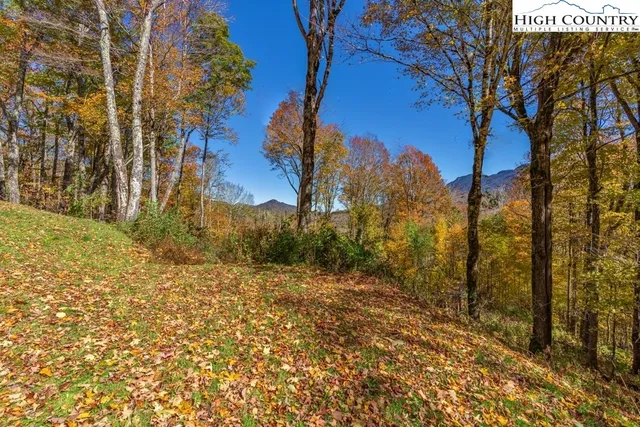 a view of a yard with a house