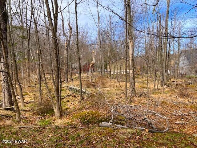 153 Rockway Road Lake Ariel, PA 18436 - Photo 4 of 36 Backyard