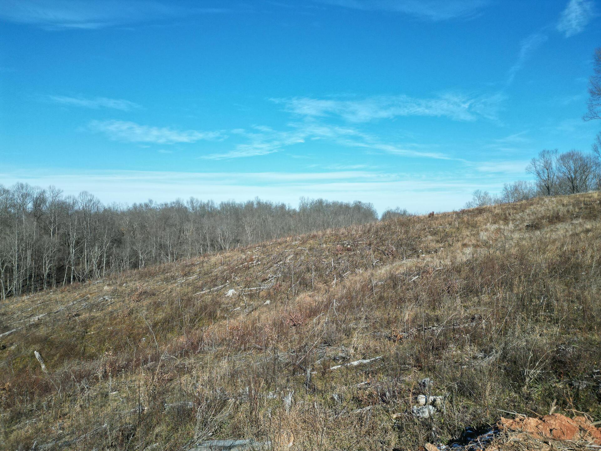 0 Hampton Hollow Road, Unit 7 ACRE TRACT) Langsville, OH 45741 - Photo 23 of 55