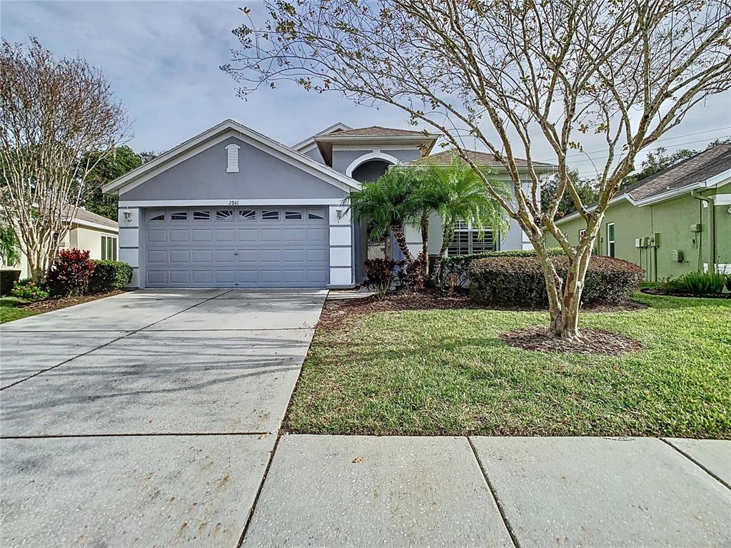 2841 Banyan Hill Lane Land O' Lakes, FL 34639 - Photo 14 of 20 front view of house with a yard