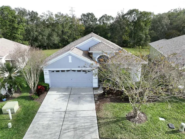 a view of a garden with a tree
