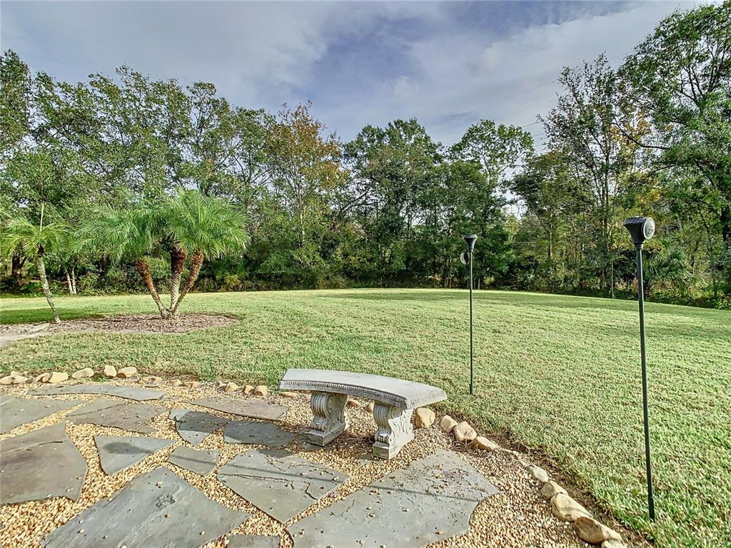 2841 Banyan Hill Lane Land O' Lakes, FL 34639 - Photo 19 of 20 a view of a garden with a tree
