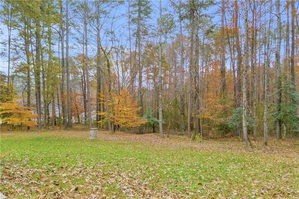 2885 Callie Still Road Lawrenceville, GA 30045 - Photo 12 of 79