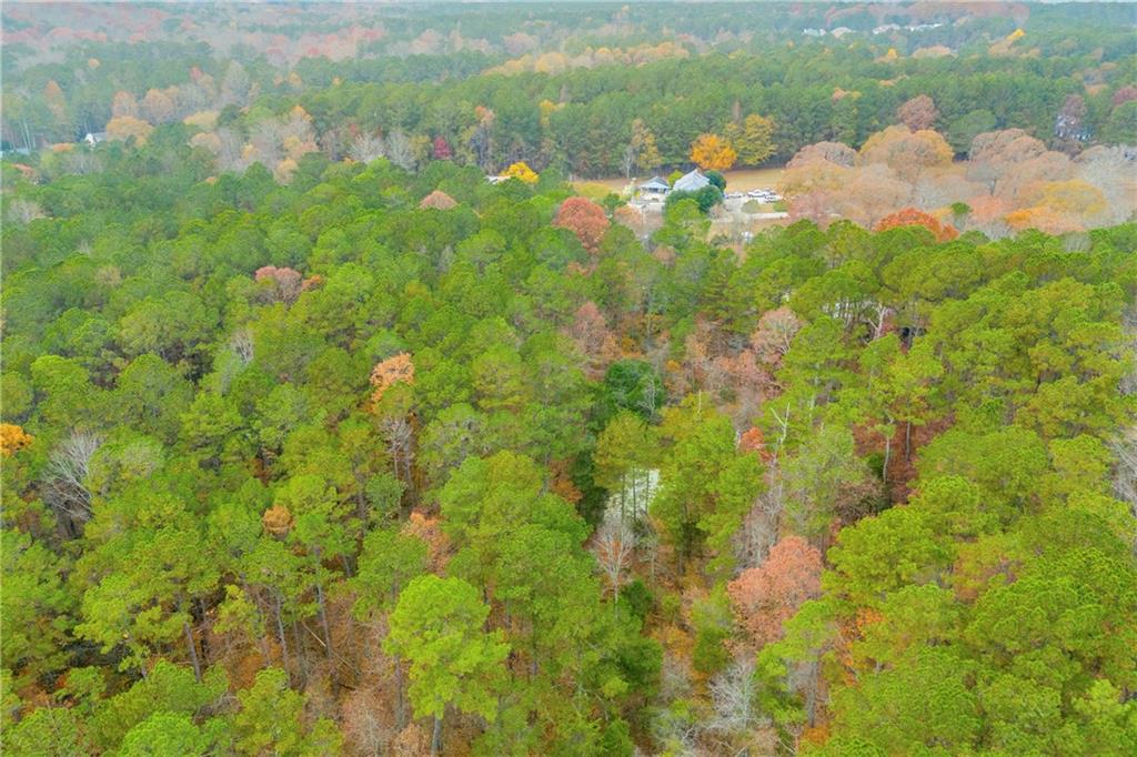 2885 Callie Still Road Lawrenceville, GA 30045 - Photo 15 of 79 a view of a bunch of trees