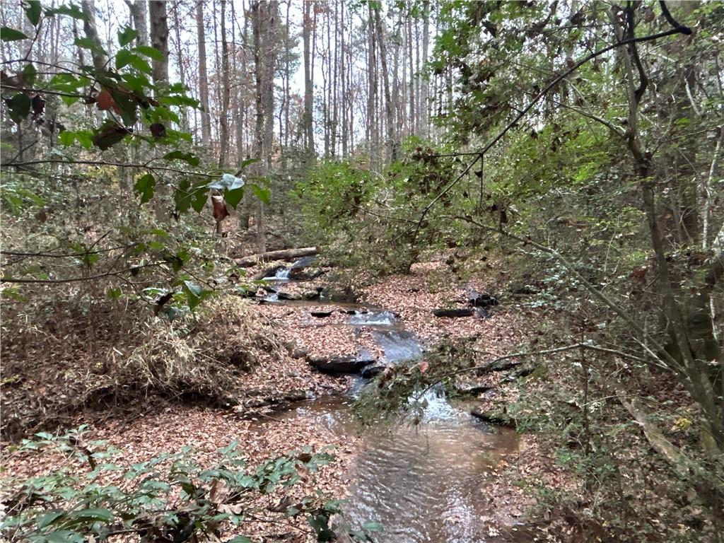 2885 Callie Still Road Lawrenceville, GA 30045 - Photo 61 of 79