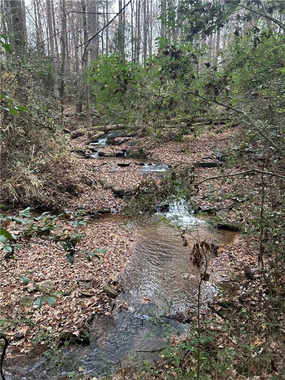 2885 Callie Still Road Lawrenceville, GA 30045 - Photo 62 of 79