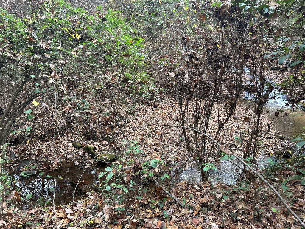 2885 Callie Still Road Lawrenceville, GA 30045 - Photo 63 of 79