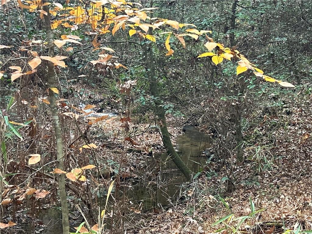 2885 Callie Still Road Lawrenceville, GA 30045 - Photo 64 of 79 a view of a tree in a yard