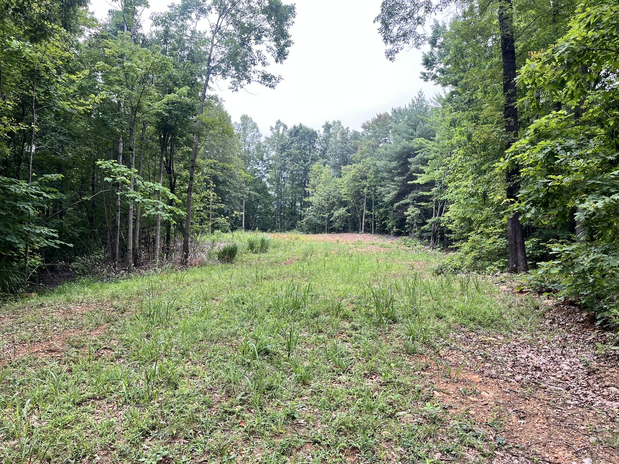0 Timber Line Road Ferrum, VA 24088 - Photo 2 of 4 IMG_6077