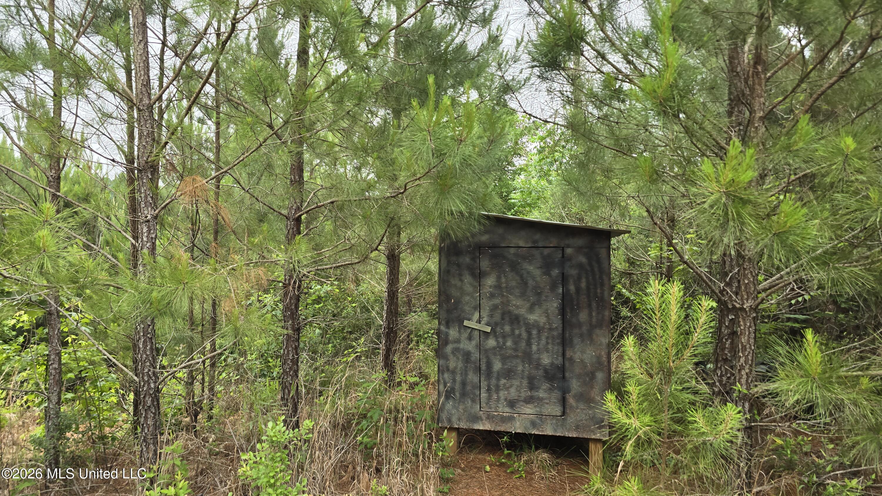 189 Co Road Bay Springs, MS 39422 - Photo 2 of 61 20260513_101719