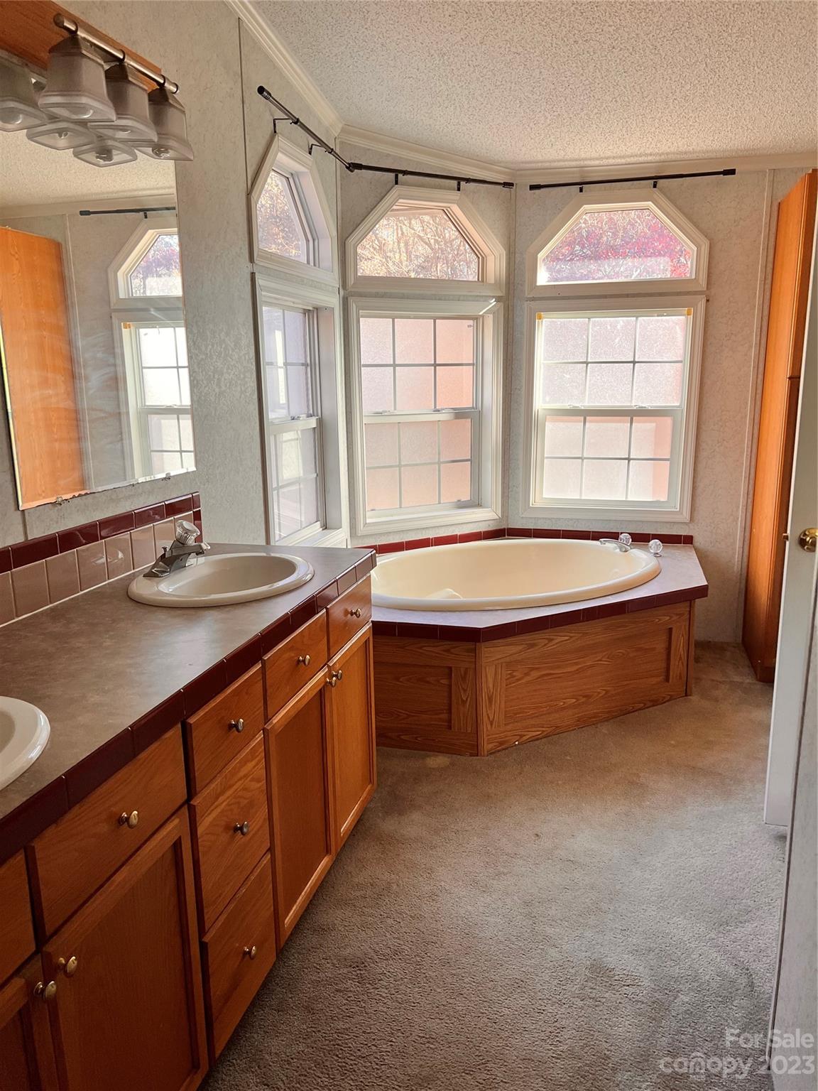 1864 Coopers Gap Road Rutherfordton, NC 28139 - Photo 30 of 46 a spacious bathroom with a large tub sink and mirror