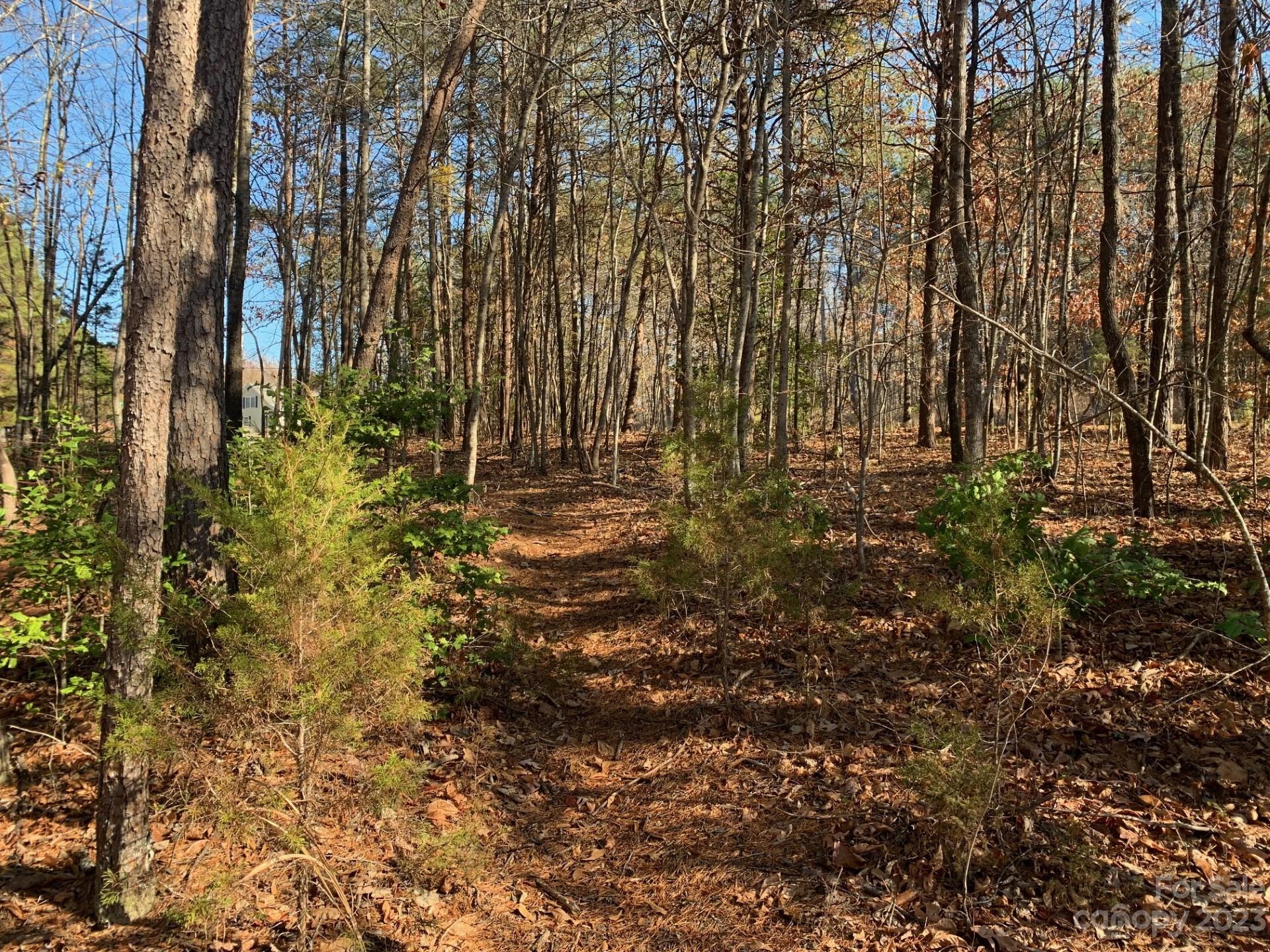 1864 Coopers Gap Road Rutherfordton, NC 28139 - Photo 41 of 46 a view of outdoor space