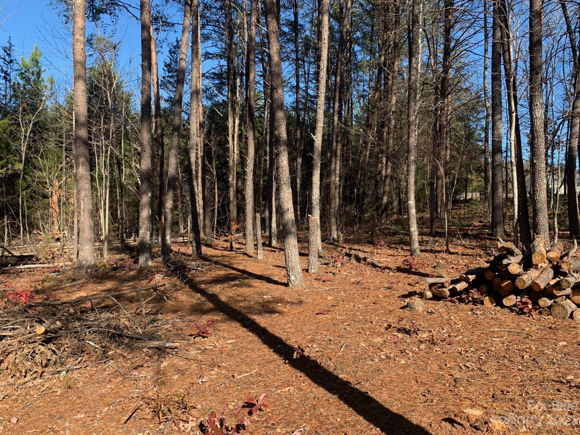 1864 Coopers Gap Road Rutherfordton, NC 28139 - Photo 42 of 46 a view of a backyard with of the trees