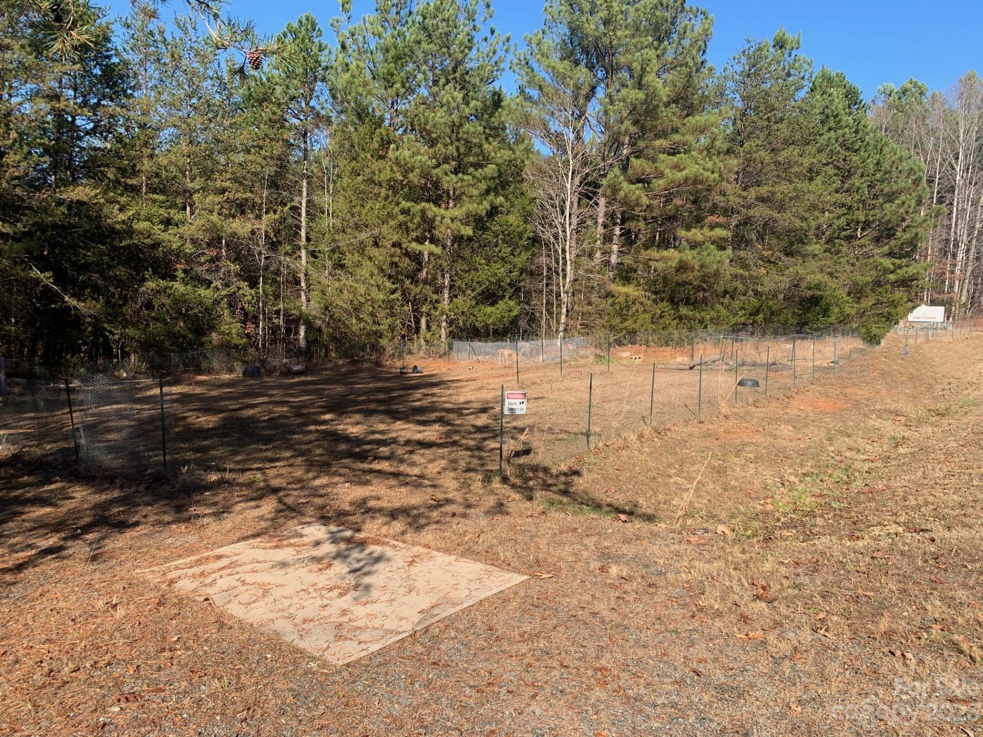 1864 Coopers Gap Road Rutherfordton, NC 28139 - Photo 5 of 46 a view of yard with trees