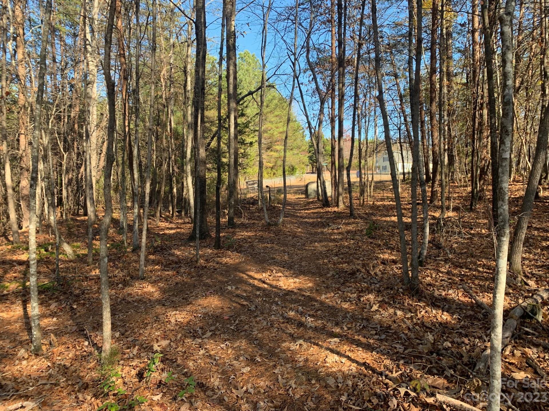 1864 Coopers Gap Road Rutherfordton, NC 28139 - Photo 7 of 46 a backyard of a house with lots of green space