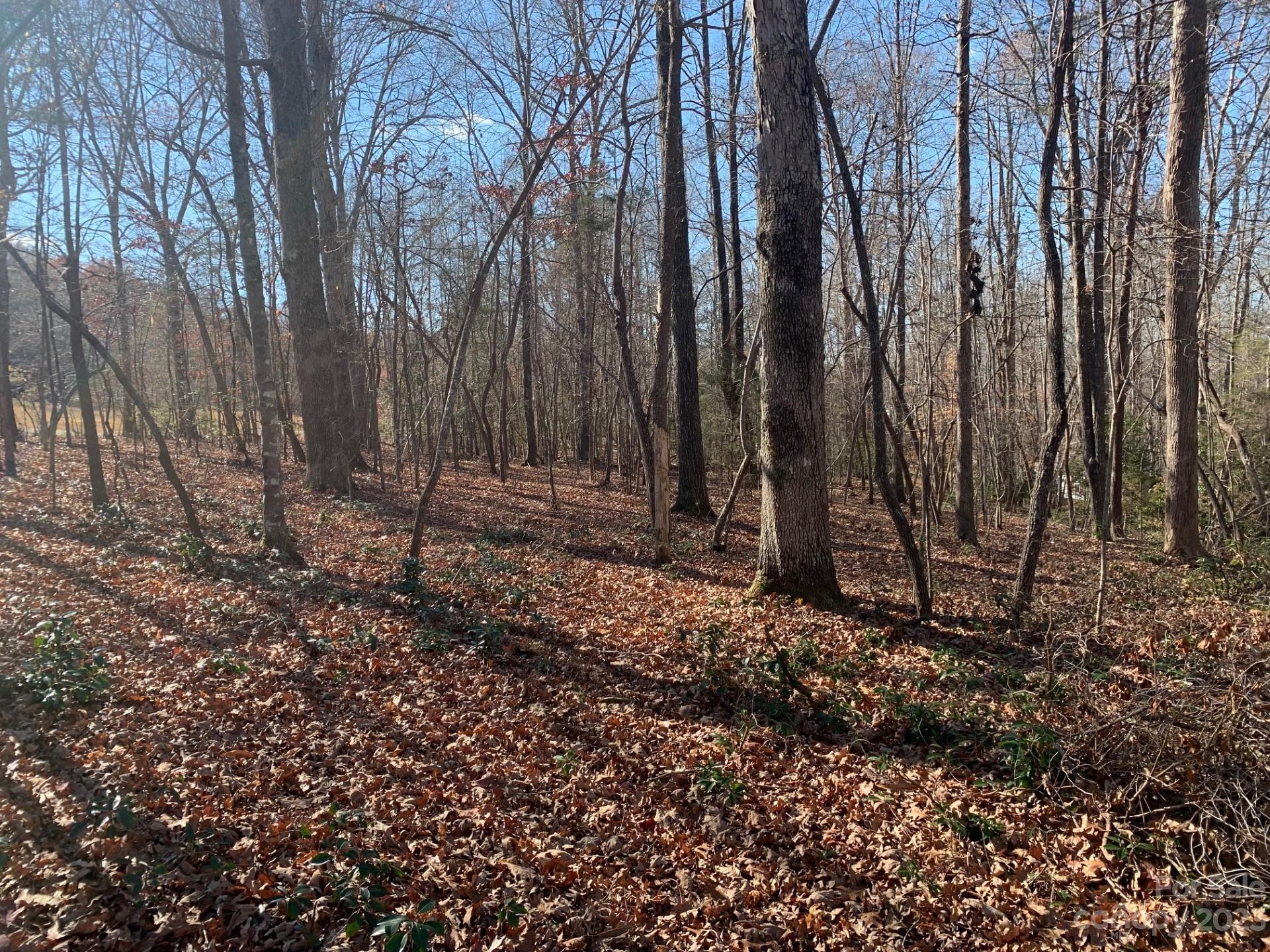 1864 Coopers Gap Road Rutherfordton, NC 28139 - Photo 9 of 46 a view of outdoor space with trees